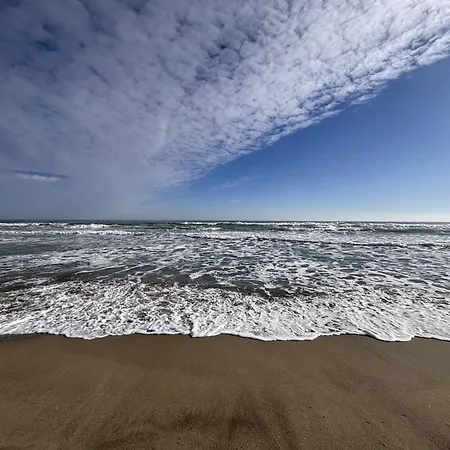 Appartement Calme Et Moderne à 300m De La -1- Canet-en-Roussillon