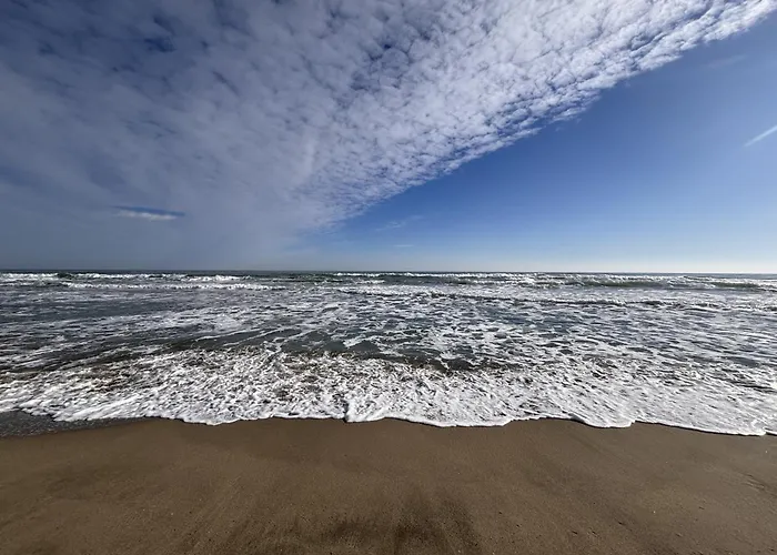 Apartament Calme Et Moderne A 300m De La -1- Canet-en-Roussillon